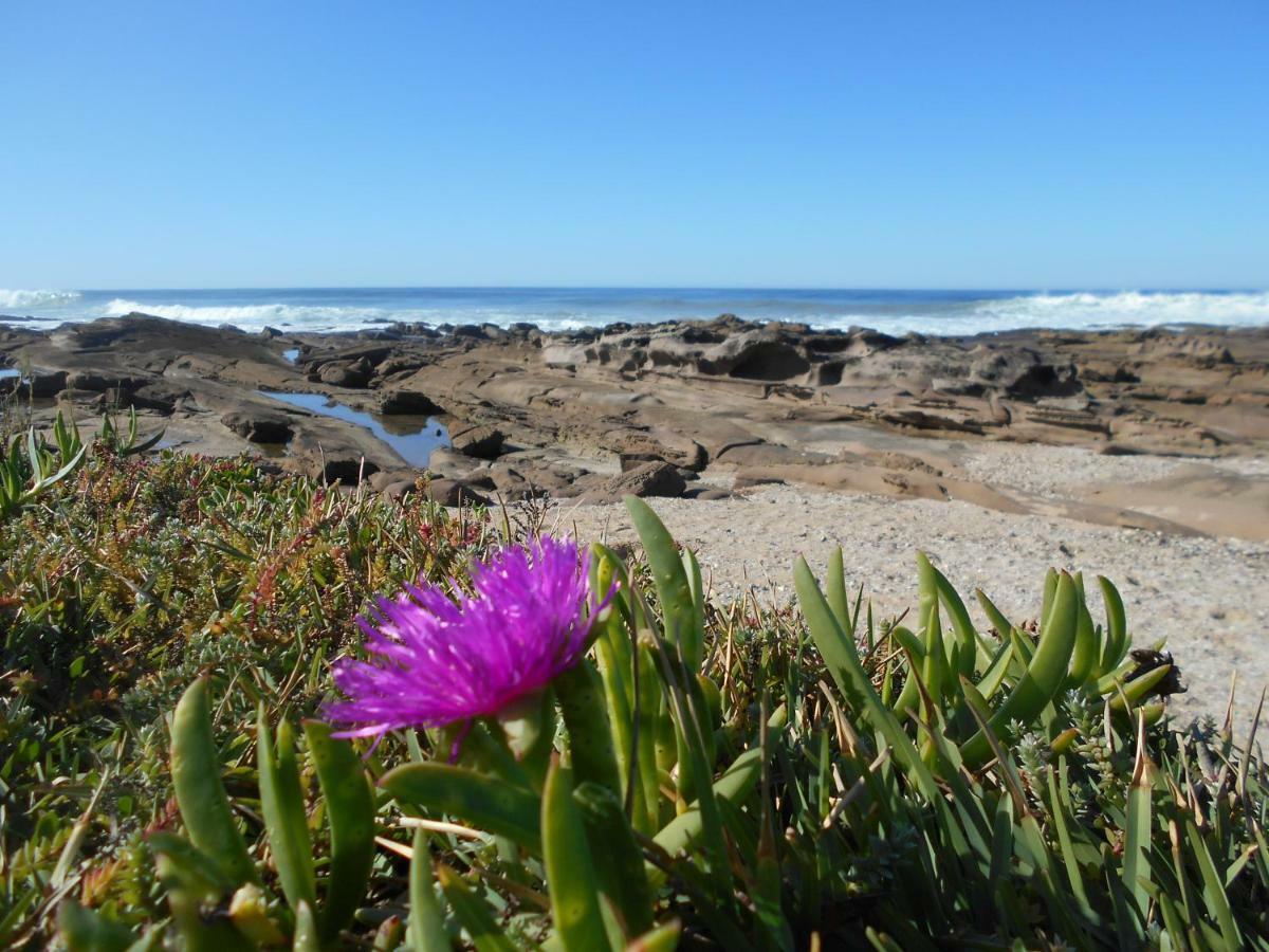 The Coelacanth Guest House And Beach Thyme Self Catering Kiddʼs Beach Exterior foto